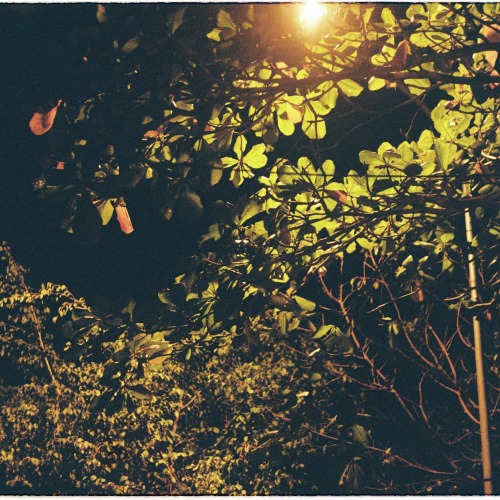 Henson and Winters Traders